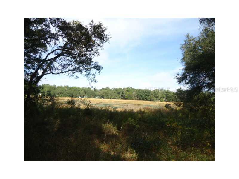 4968 SW 116th Pl., Webster, FL 33597