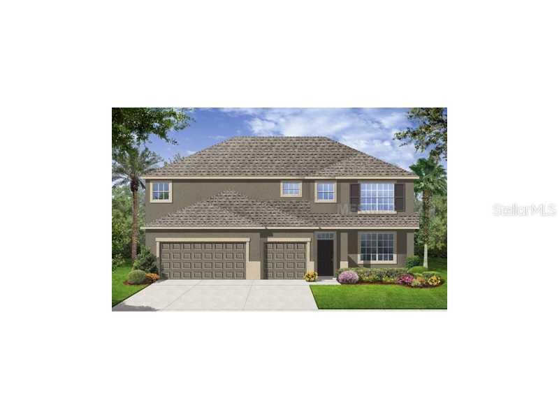 20030 Satin Leaf, Tampa, FL 33647