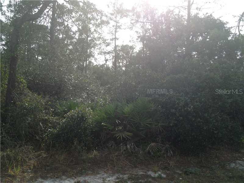 Joss Dr., New Port Richey, FL 34654