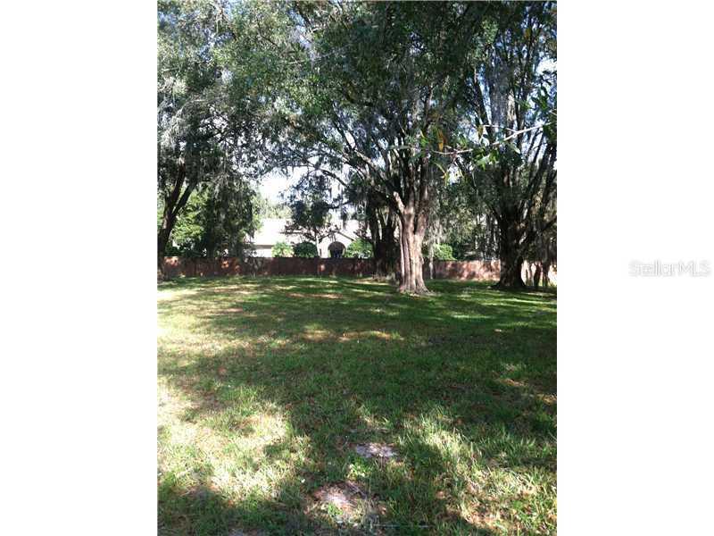 7808 Terrace Oaks Ct., Temple Terrace, FL 33617