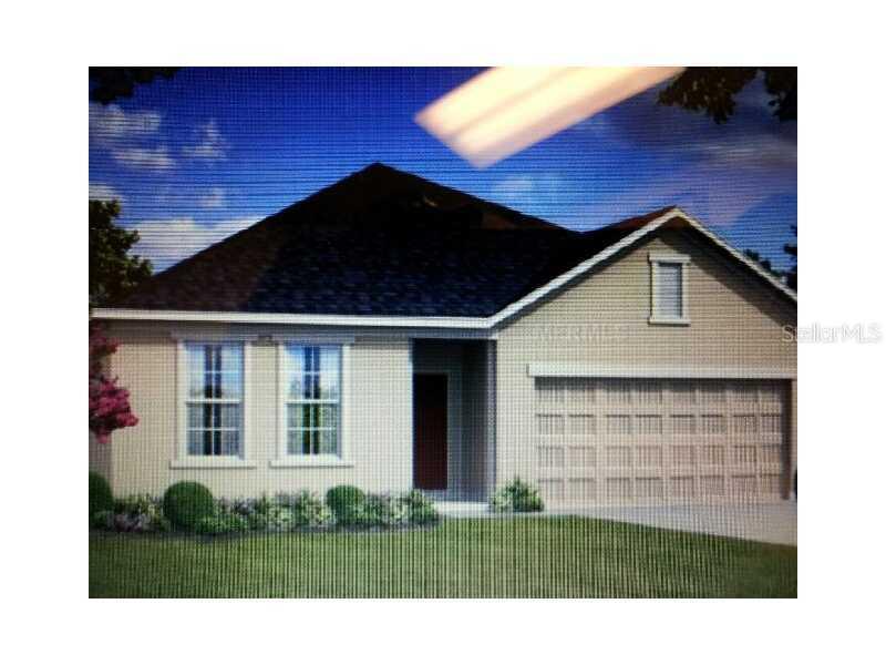 5443 Angelonia, Land O Lakes, FL 34639