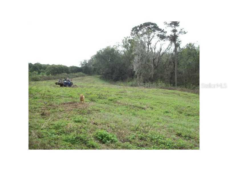 Chipco Ranch Rd., Dade City, FL 33523
