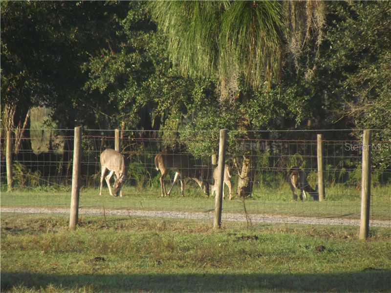 [Address Hidden by Seller], Lakeland, FL 33815