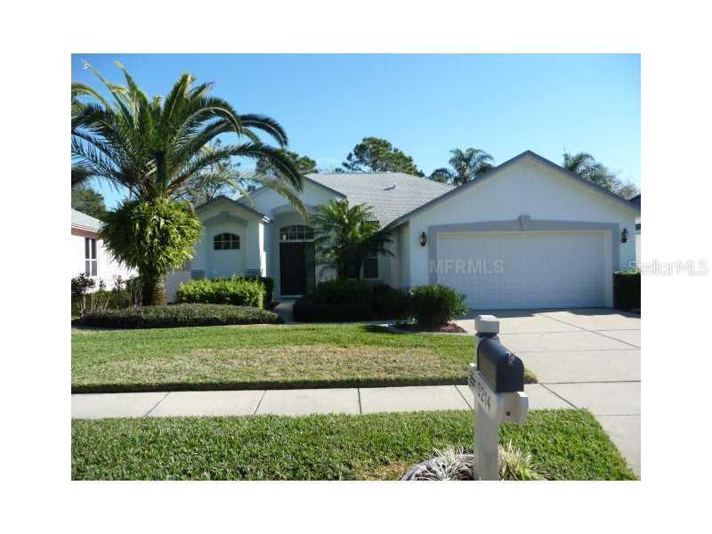 3214 Fox Squirrel Ln., Valrico, FL 33596