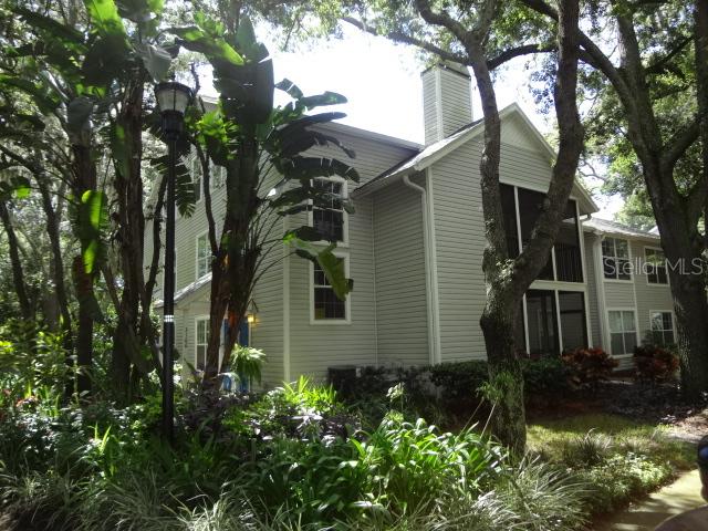 3166 Valley Oaks Dr., Tampa, FL 33618