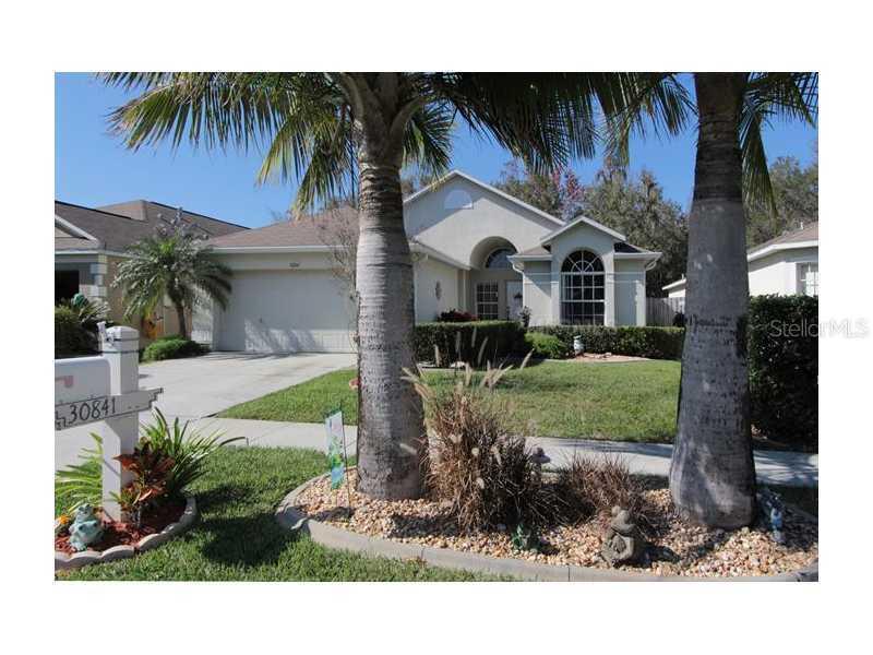 30841 Wooley Ct., Wesley Chapel, FL 33543