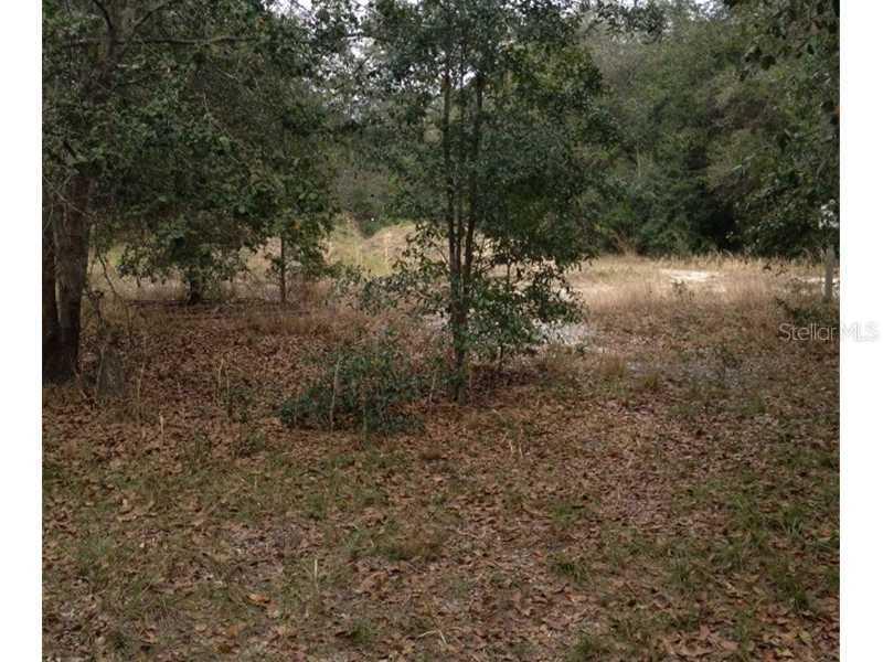 7814 Krycul Ave., Riverview, FL 33578
