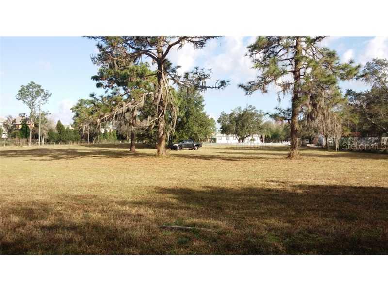 15513 Phillips Rd., Odessa, FL 33556