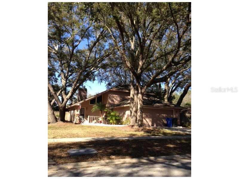 2406 Towery Tr., Lutz, FL 33549