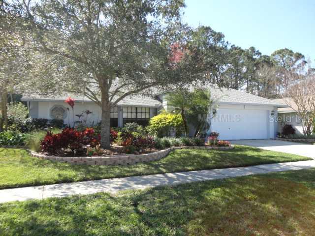 11732 Spanish Lake Dr., Tampa, FL 33635