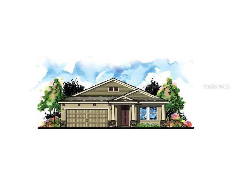 6339 Hawk Grove Ct., Zephyrhills, FL 33545