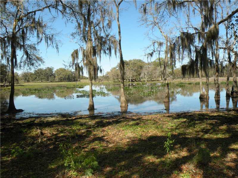 28755 Darby Rd., Dade City, FL 33525