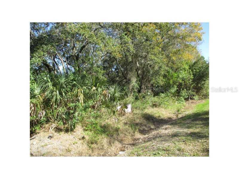 Phoenix Ave., Oldsmar, FL 34677