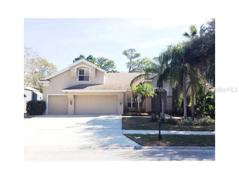 4060 Ligustrum Dr., Palm Harbor, FL 34685