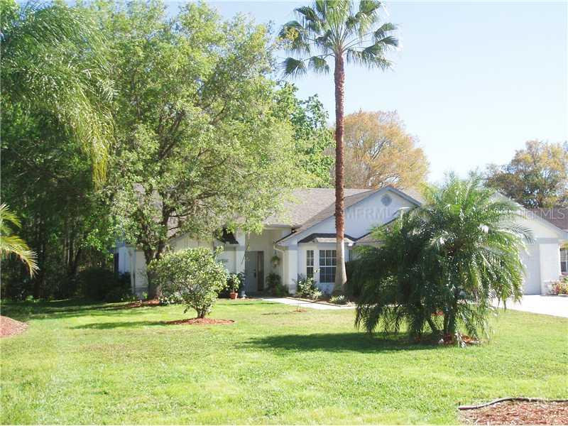 4714 Basswood St., Land O Lakes, FL 34639