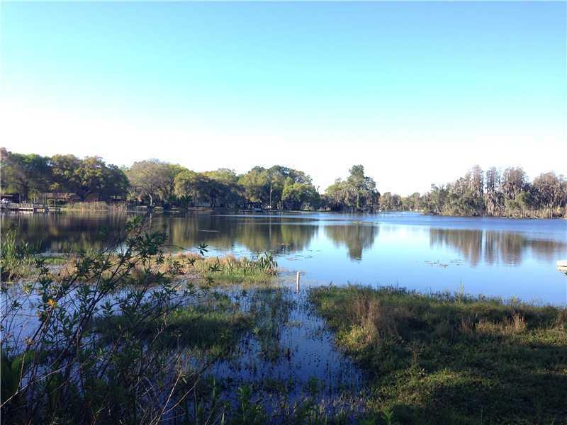 [Address Hidden by Seller], Odessa, FL 33556