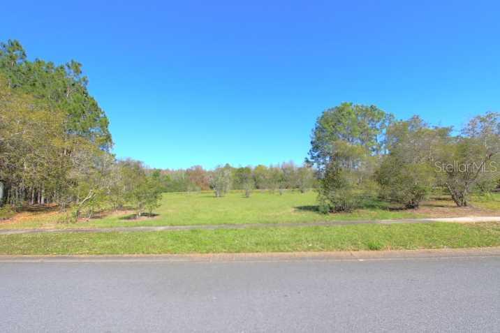 17137 Downs Dr., Odessa, FL 33556