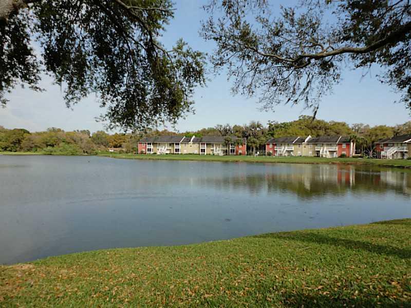 804 Lake Haven Sq. #207, Brandon, FL 33511