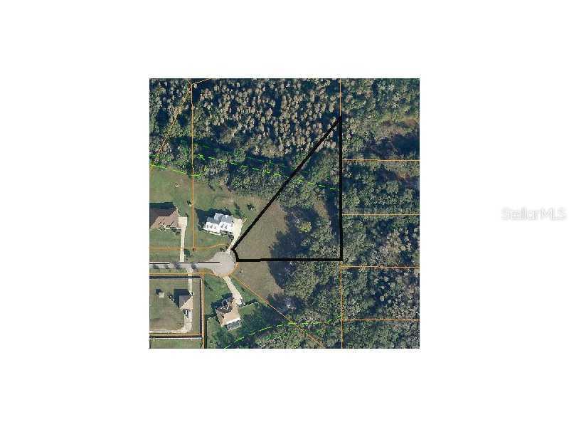 4702 Cypress Serenity Dr., Plant City, FL 33565