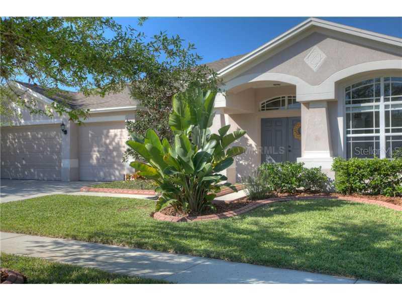 16137 Bridgedale Dr., Lithia, FL 33547