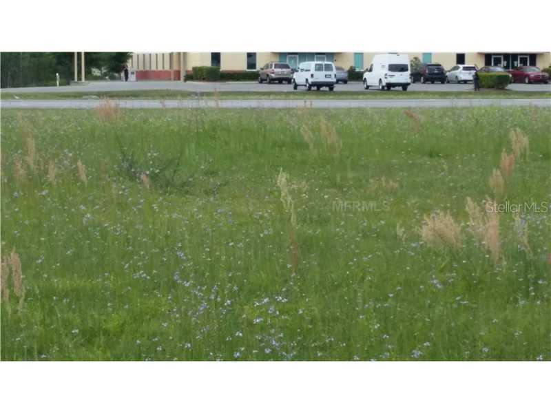 4451 Birdsong Blvd., Lutz, FL 33559