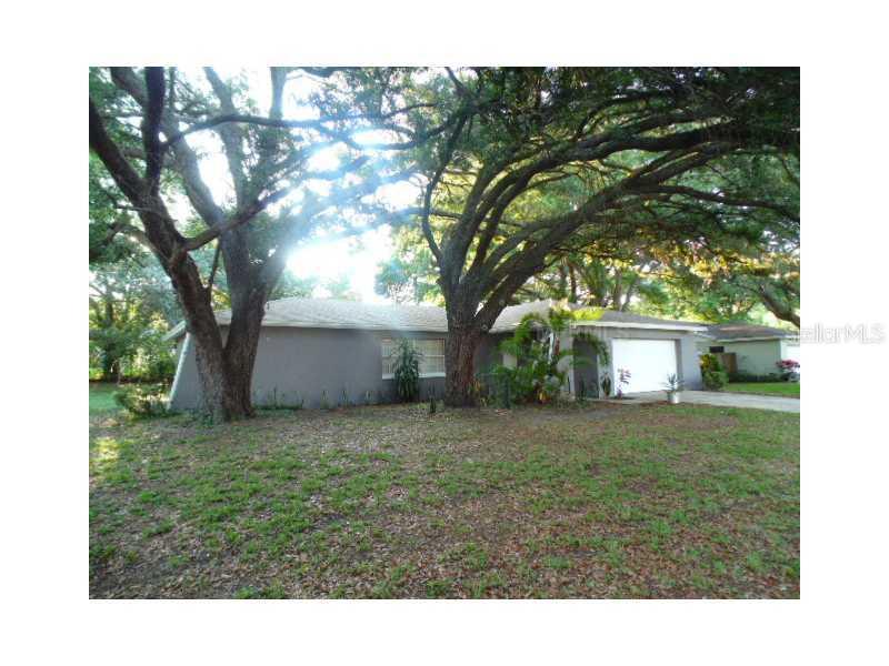 1108 Black Knight Dr., Valrico, FL 33594