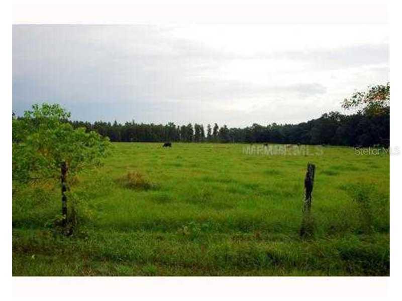 6504 Barton Rd., Plant City, FL 33565