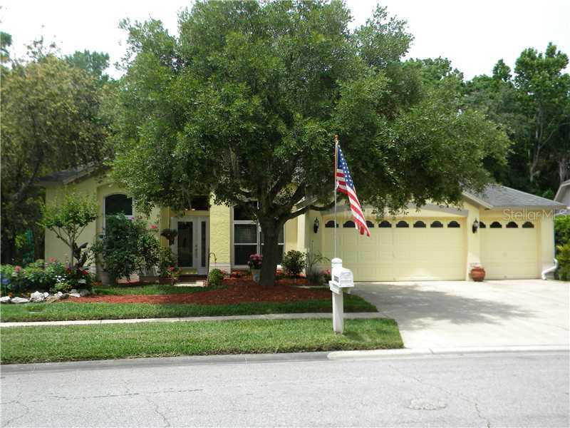 28423 Openfield Loop, Wesley Chapel, FL 33543