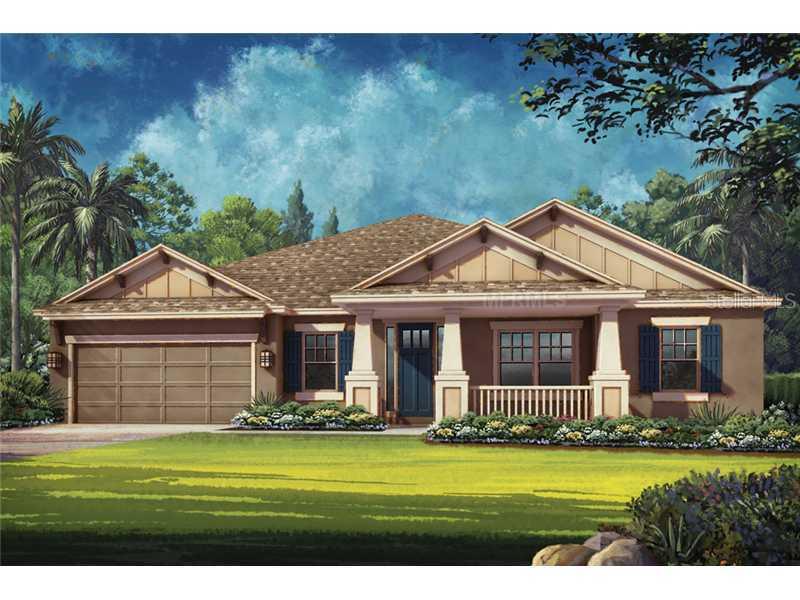 27048 Evergreen Chase Dr., Wesley Chapel, FL 33544