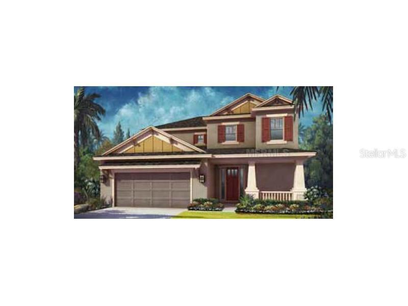 27051 Wild Bloom Dr., Wesley Chapel, FL 33544