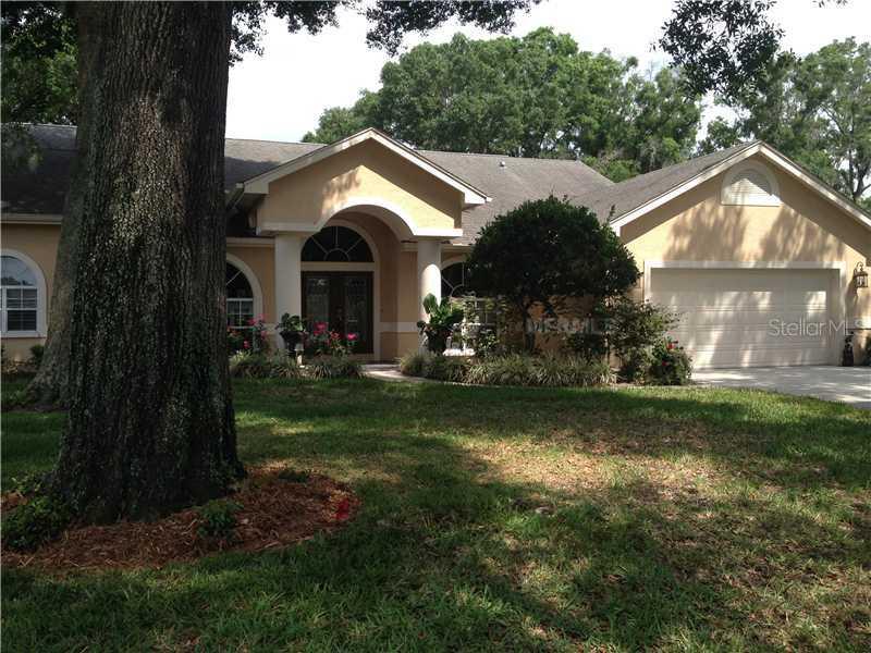17003 Amber Lake Ct., Lutz, FL 33549