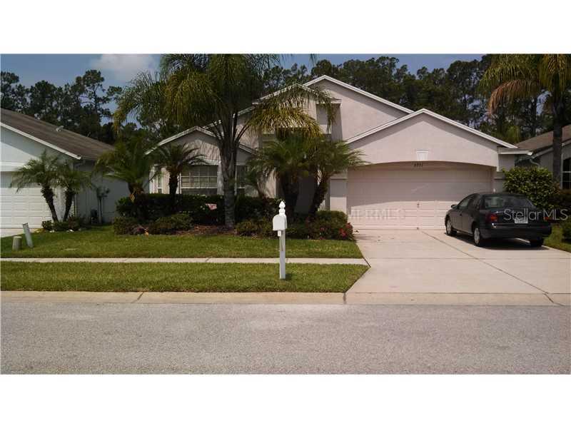 6351 Open Pasture Ct., Wesley Chapel, FL 33545