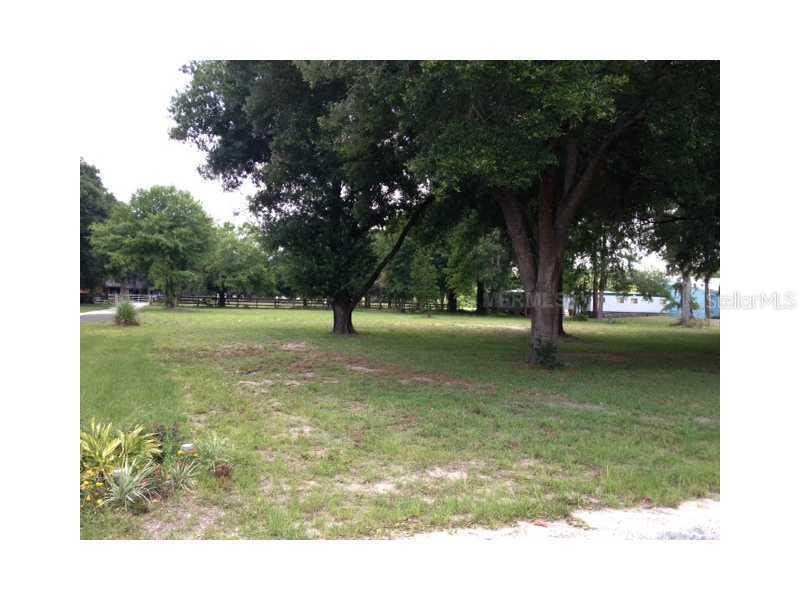 17512 Marsh Rd., Lutz, FL 33558