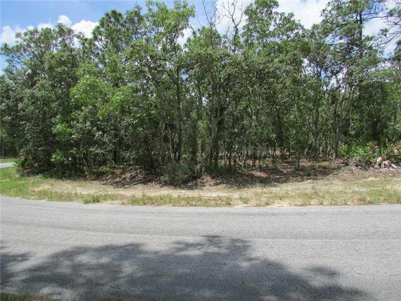 21 Eugenia Ct., Homosassa, FL 34446