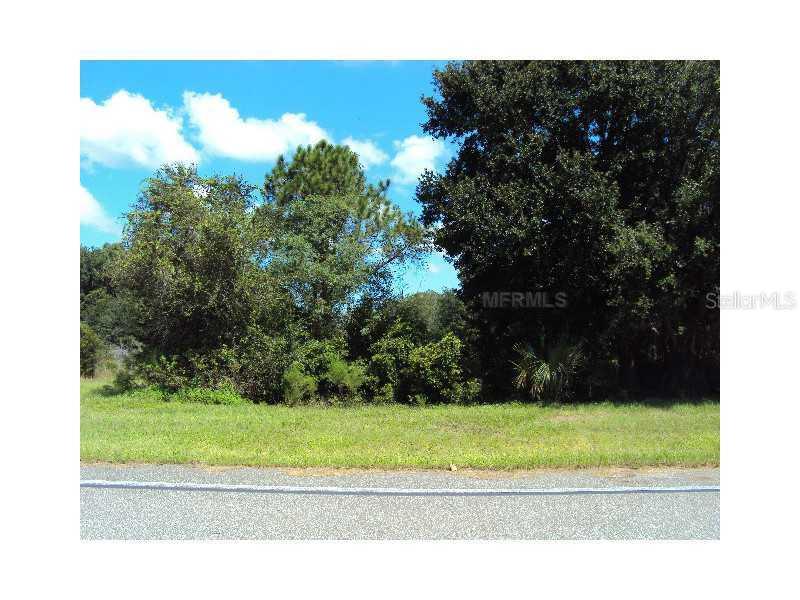 2604 Tylers River Run, Lutz, FL 33559