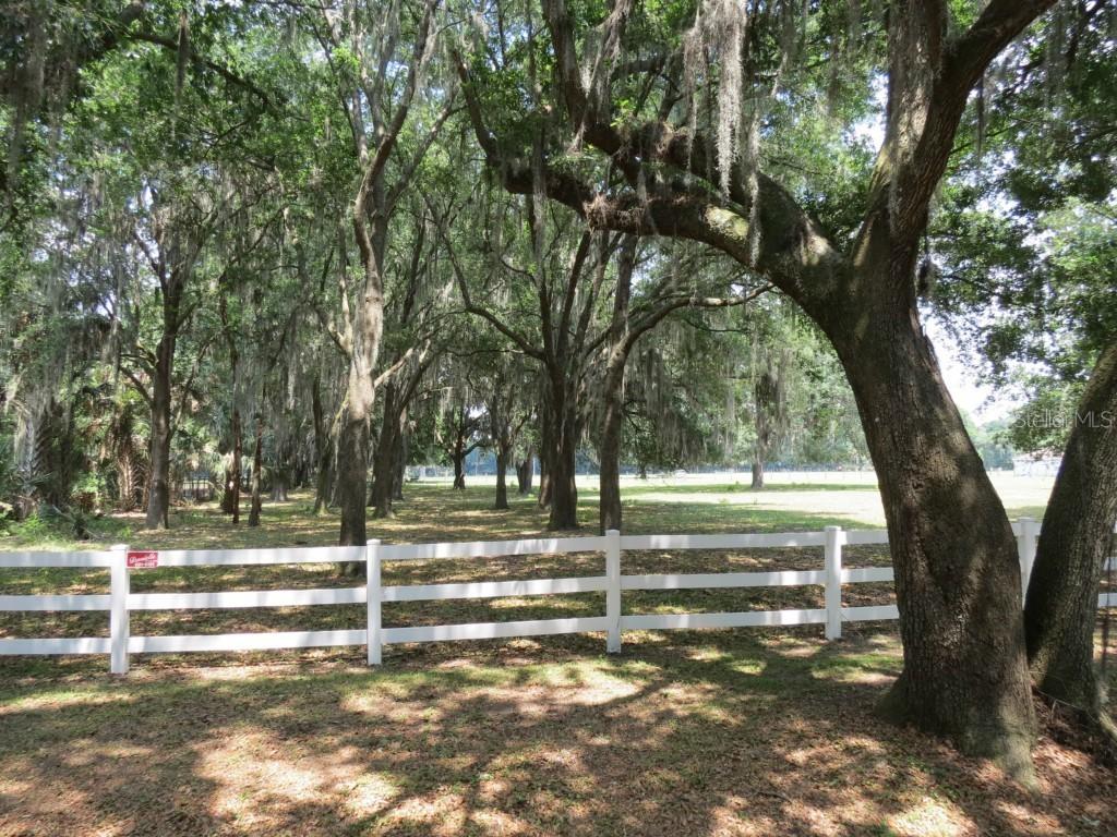 Bryant Rd., Lithia, FL 33547