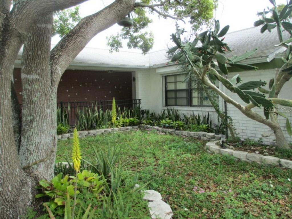 8120 Buttonball Ln., Port Richey, FL 34668