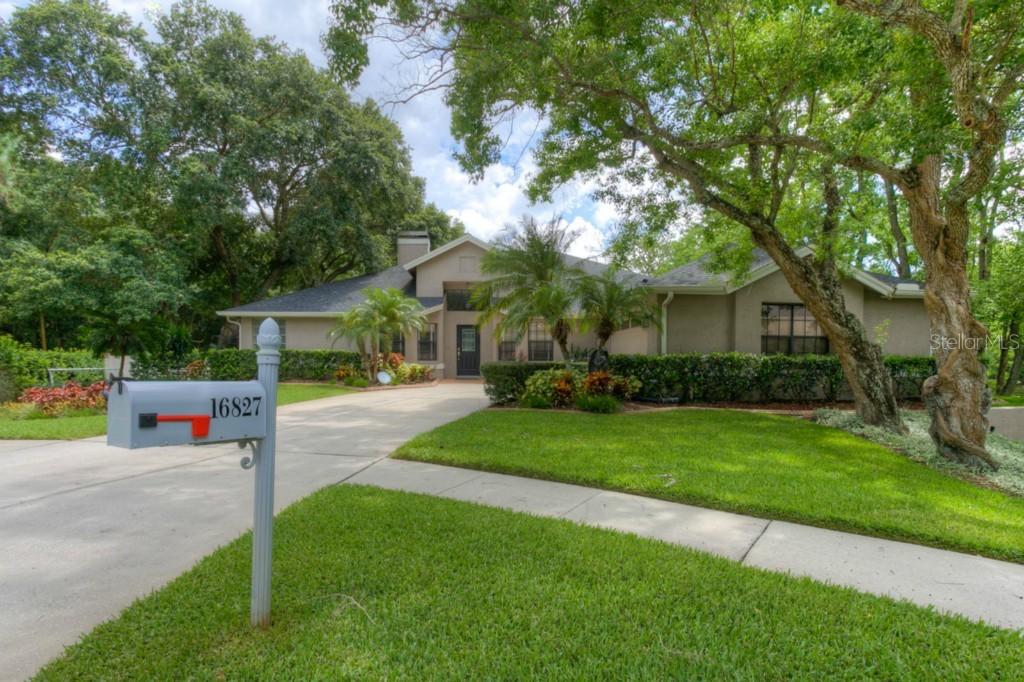 [Address Hidden by Seller], Lutz, FL 33558