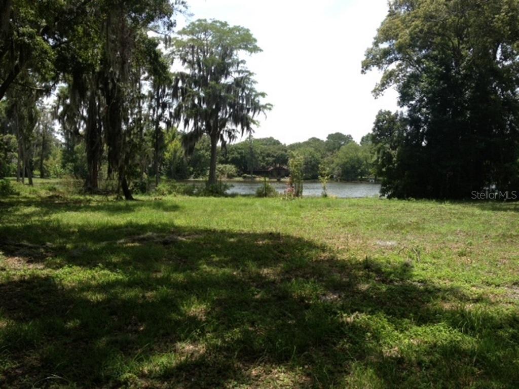 806 W Lutz Lake Fern Rd., Lutz, FL 33548