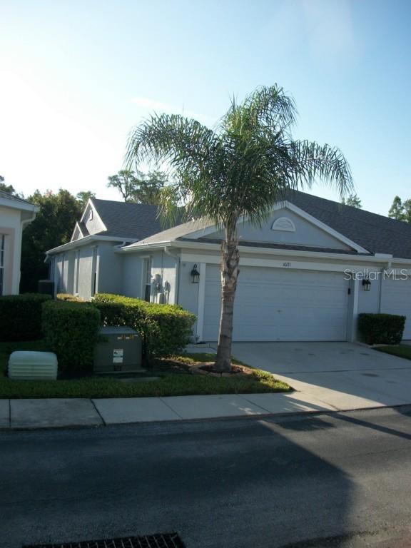 10121 Mowry Ln., Tampa, FL 33625