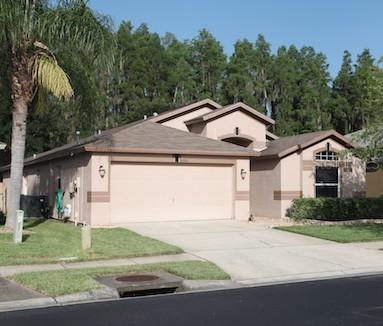30910 Burleigh Dr., Wesley Chapel, FL 33543