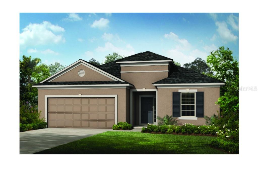 8731 Deep Maple Dr., Riverview, FL 33578