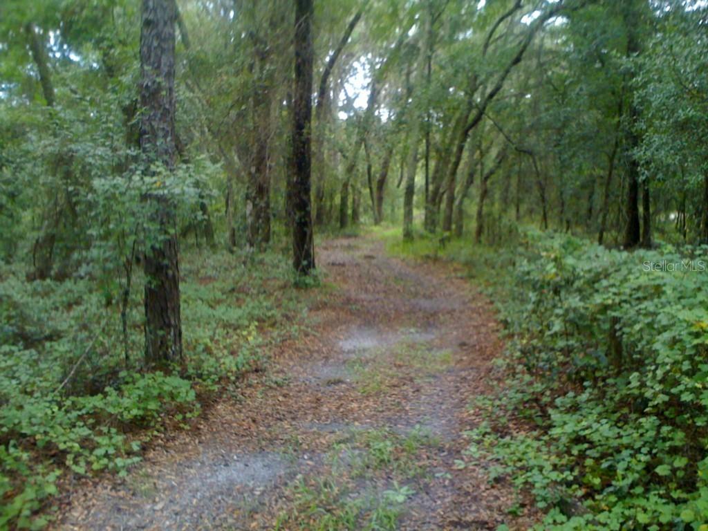 18828 Rifle Rd., Spring Hill, FL 34610