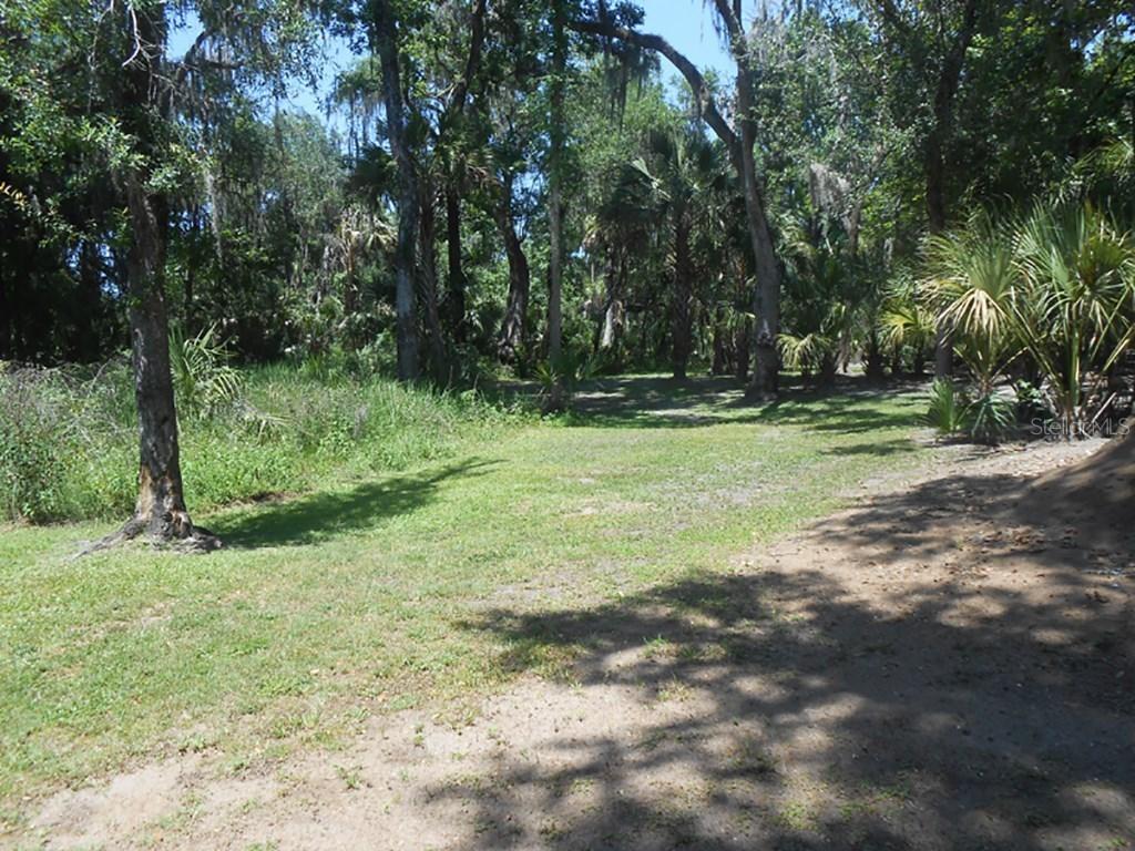 Squirrel Run Way, Valrico, FL 33596