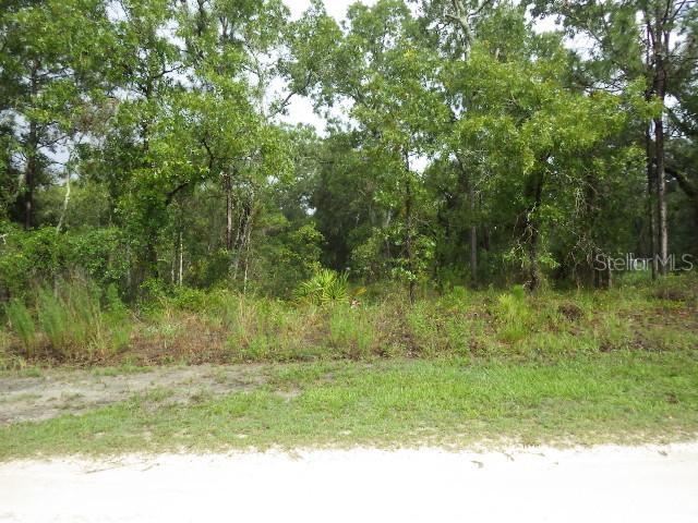 11230 Humber Rd., Weeki Wachee, FL 34614