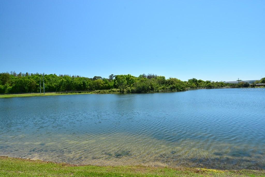 15539 Telford Spring Dr., Ruskin, FL 33573