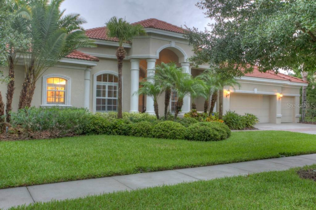 17223 Emerald Chase Dr., Tampa, FL 33647