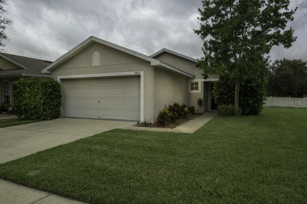 7807 Citrus Blossom Dr., Land O Lakes, FL 34637