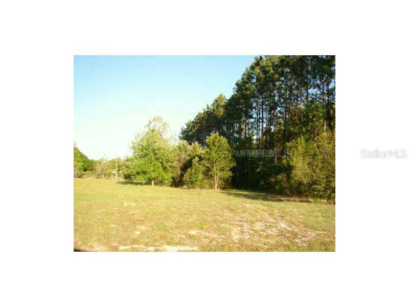 19606 Woodland Manor Pl., Lutz, FL 33549