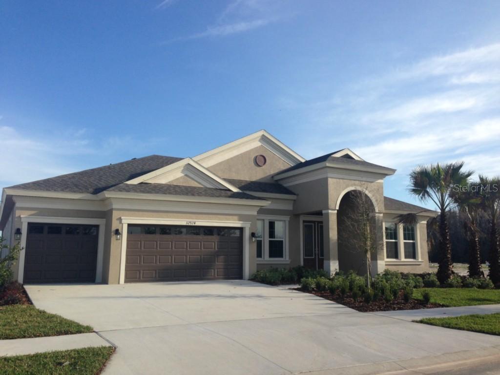 32924 Natural Bridge Rd., Wesley Chapel, FL 33543